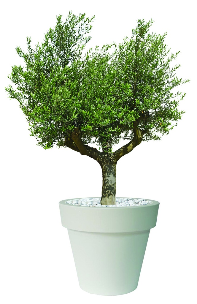 Composition végétale sur contenant/mange-debout design ht 2500 m/m (copie)