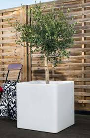 Composition végétale 1 (copie)