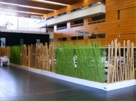 Bambou, ht 180-200 cm (copie)